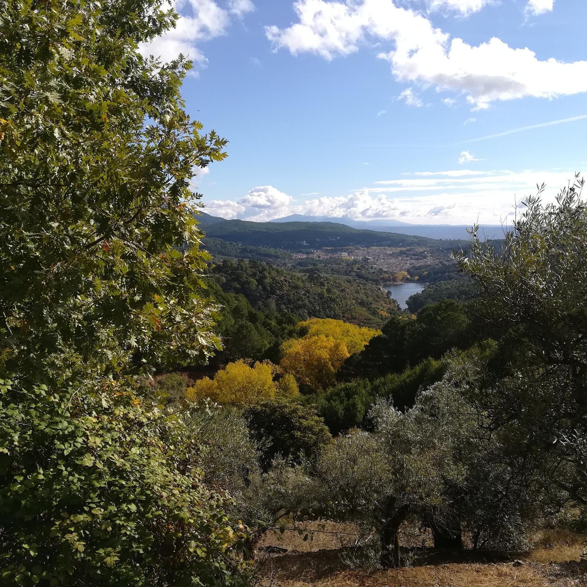 La Albarea By #Cherrygredos El Arenal  Exterior photo